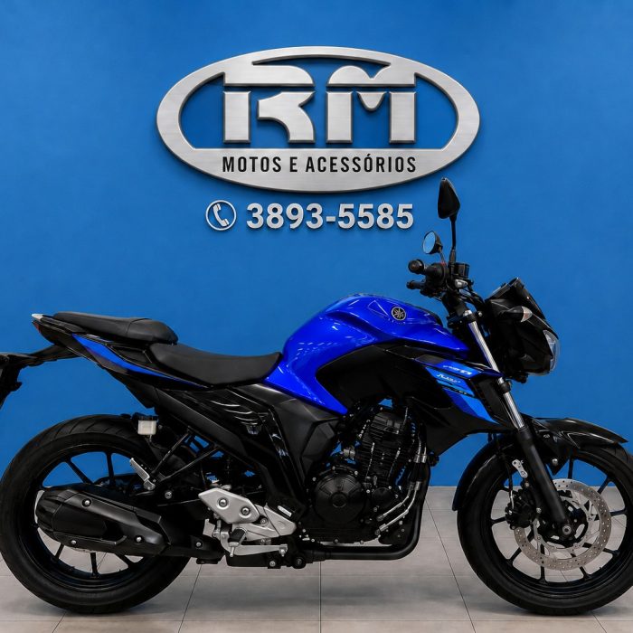 FZ25 FAZER ABS